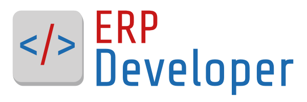 ERP Developer